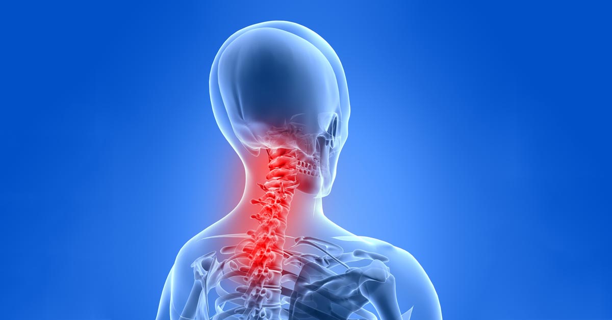 Chiropractic Shelton, WA
